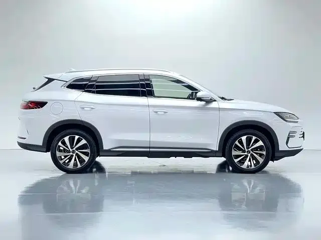 BYD PLUS New Energy — фото 6