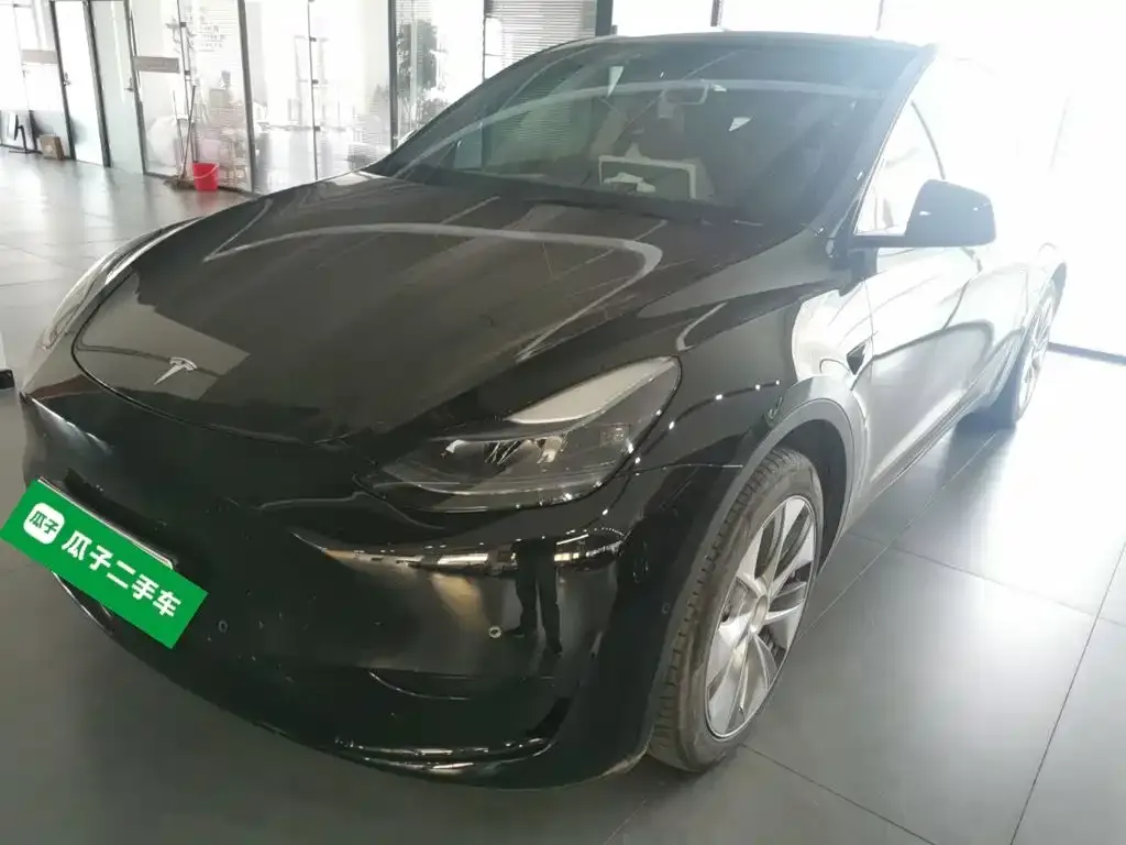 Tesla Model Y — фото 5