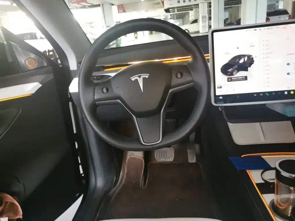 Tesla Model Y — фото 10