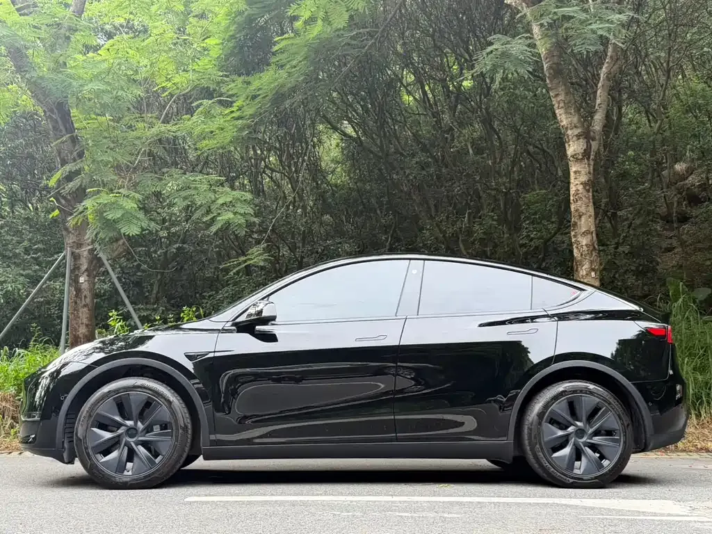 Tesla Model Y — фото 5