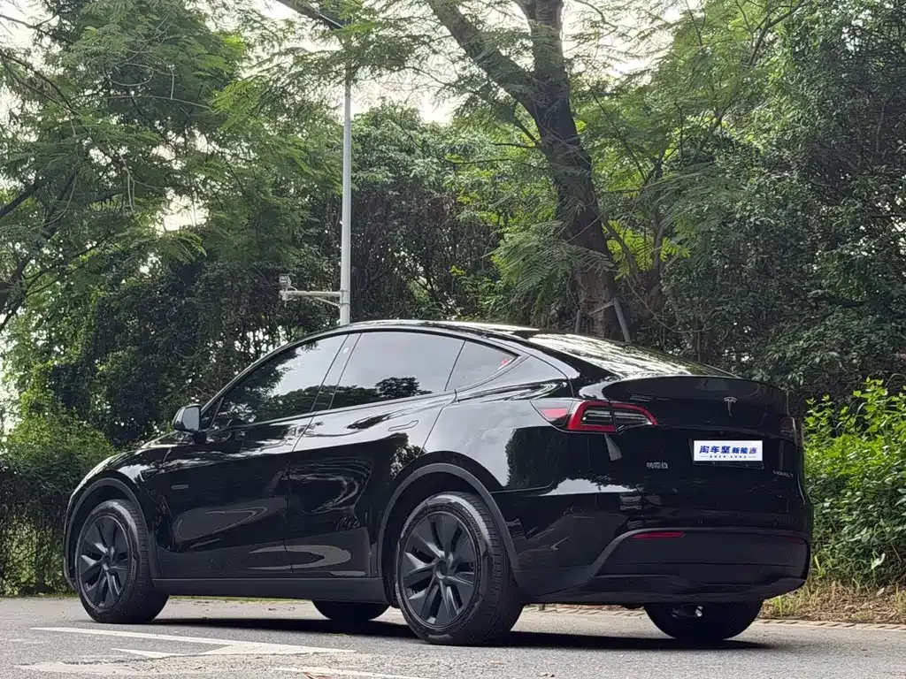 Tesla Model Y — фото 6