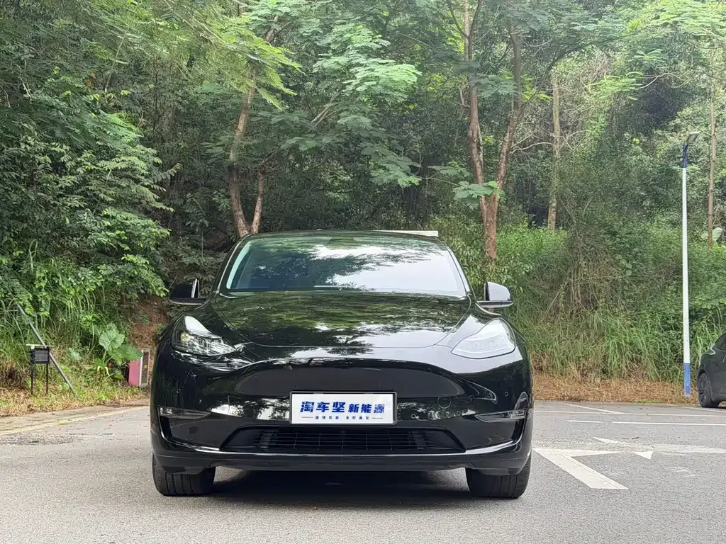 Tesla Model Y — фото 9