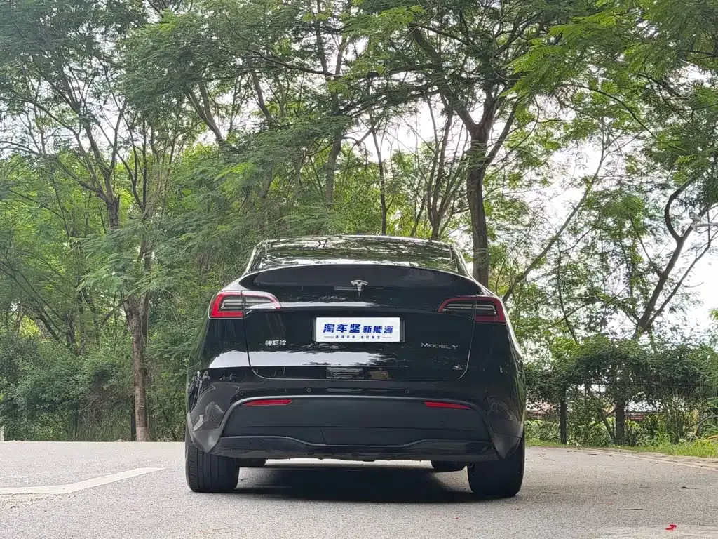 Tesla Model Y — фото 8