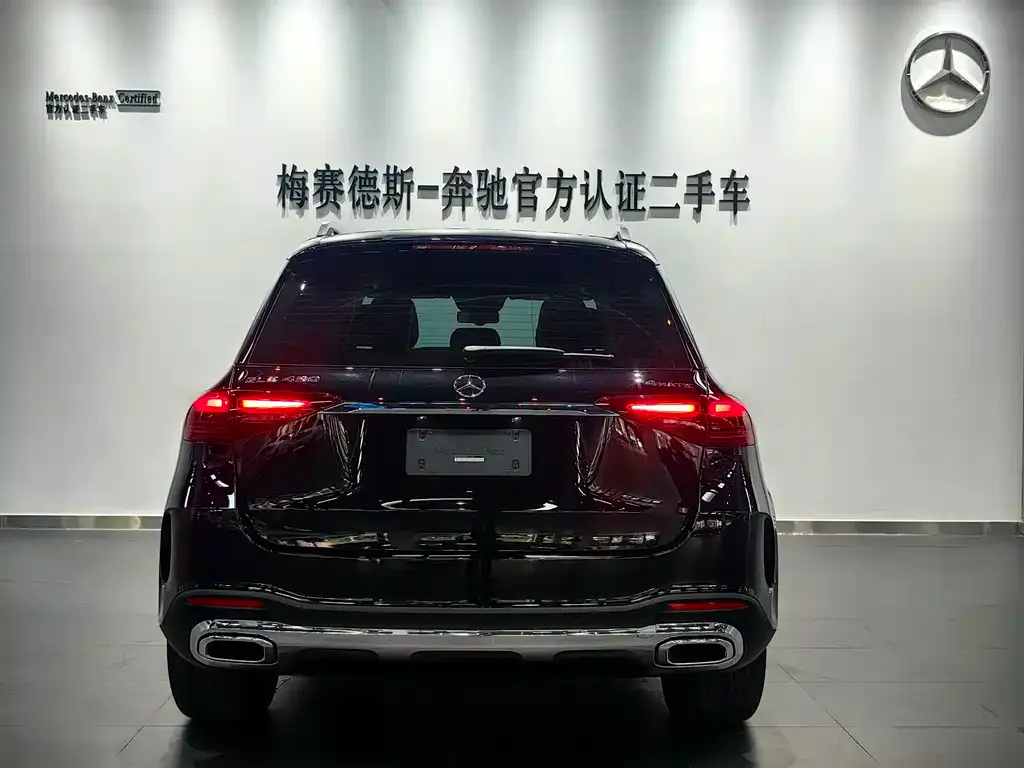 Mercedes-Benz 奔驰GLE(进口) — фото 2