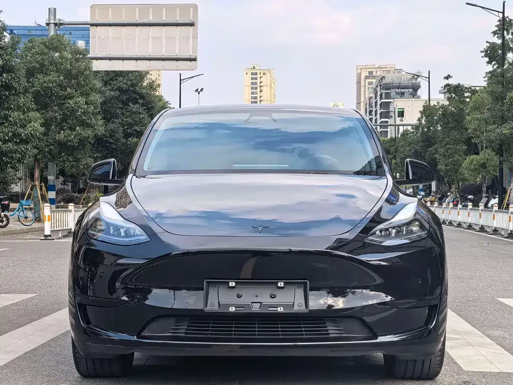 Tesla Model Y — фото 10