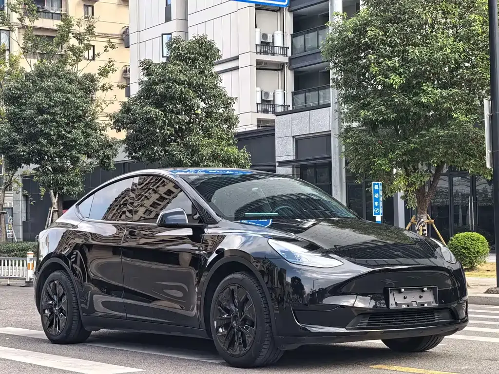 Tesla Model Y — фото 9