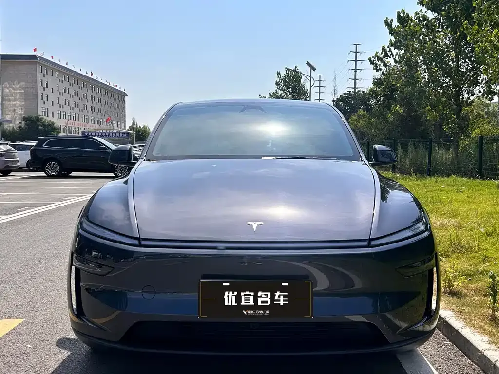Tesla Model Y — фото 10