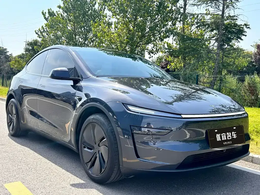 Tesla Model Y — фото 9