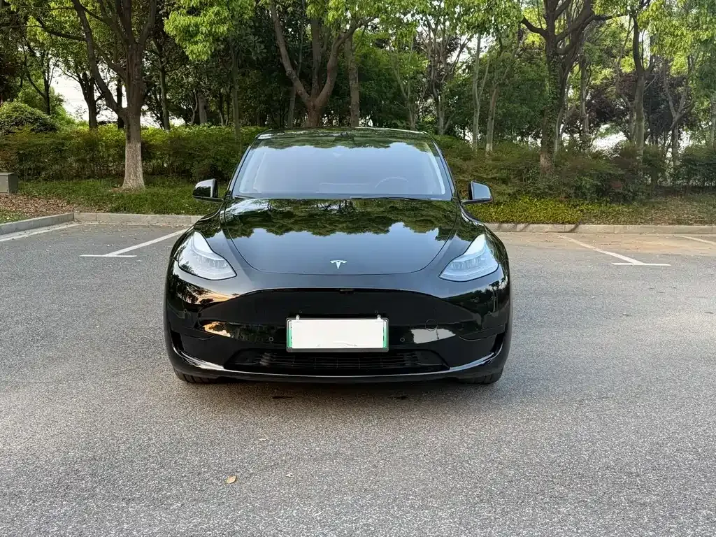 Tesla Model Y — фото 9