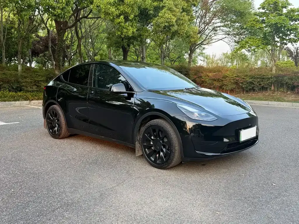 Tesla Model Y — фото 10