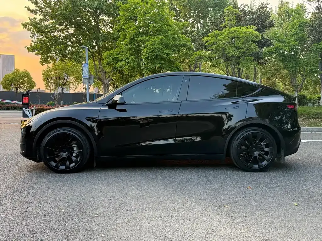 Tesla Model Y — фото 8
