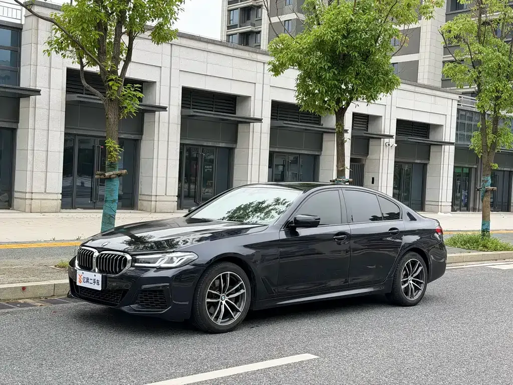 BMW 5 Series (Import)