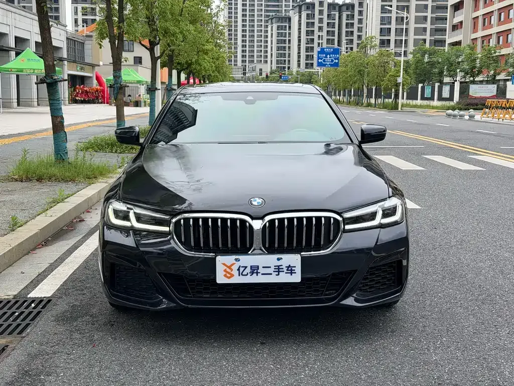 BMW 5 Series (Import) 2021 из CN, фото 8