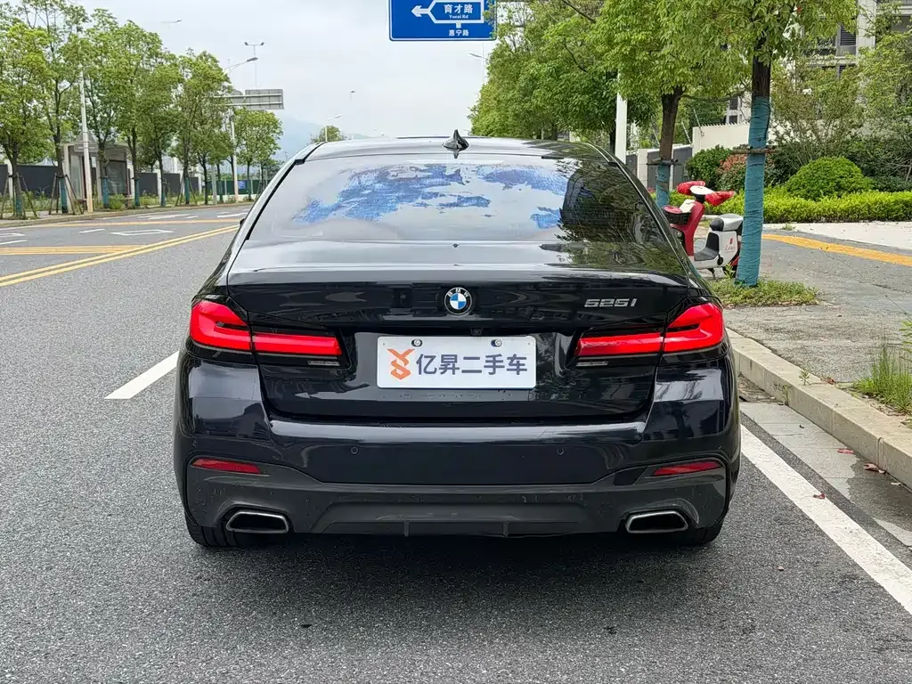 BMW 5 Series (Import) 2021 из CN, фото 4