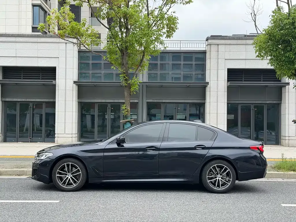 BMW 5 Series (Import) 2021 из CN, фото 5
