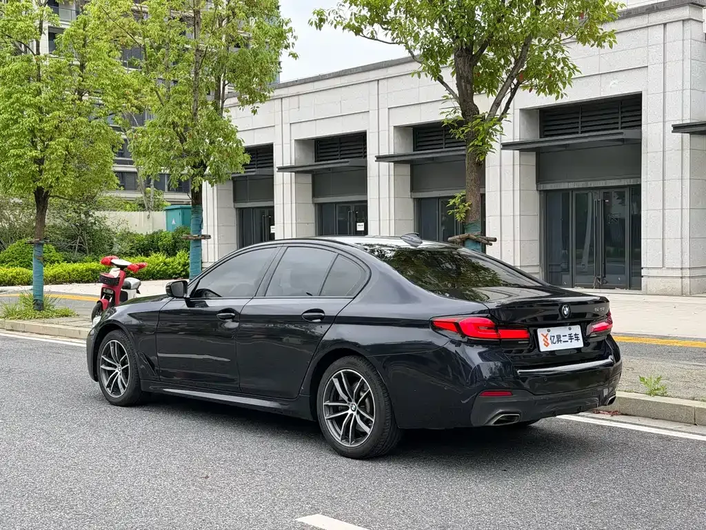 BMW 5 Series (Import) 2021 из CN, фото 6