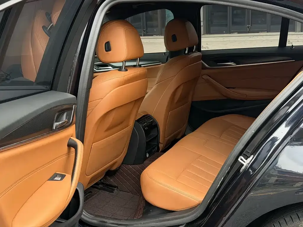 BMW 5 Series (Import) 2021 из CN, фото 9