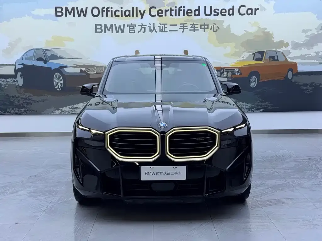BMW XM — фото 3