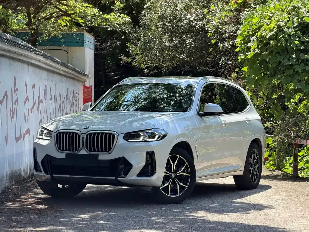 BMW X3 — фото 1