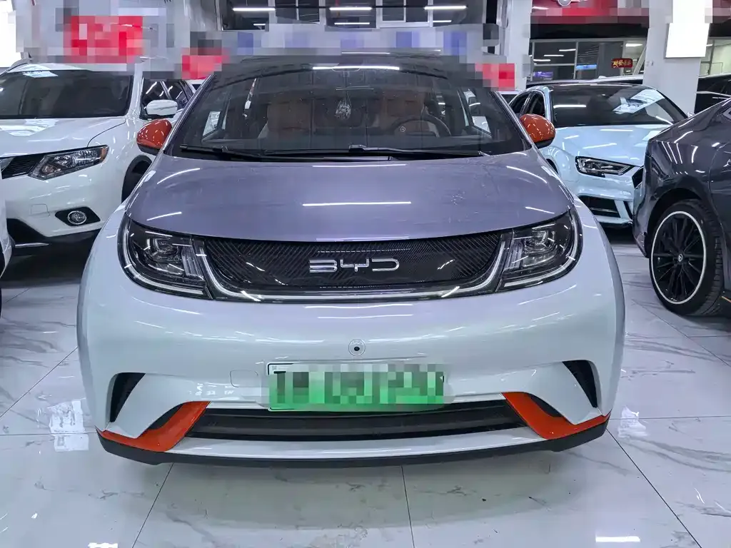 BYD Dolphin 2023 из CN, фото 2