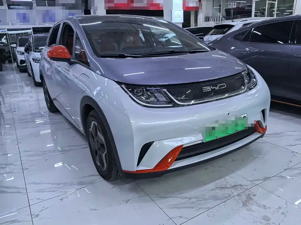 BYD Dolphin 2023 из CN, фото 8