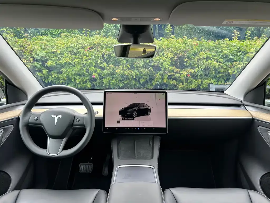 Tesla Model Y — фото 7
