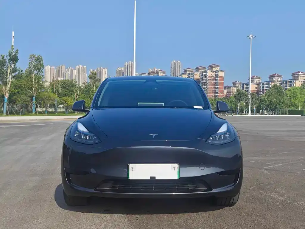 Tesla Model Y — фото 3