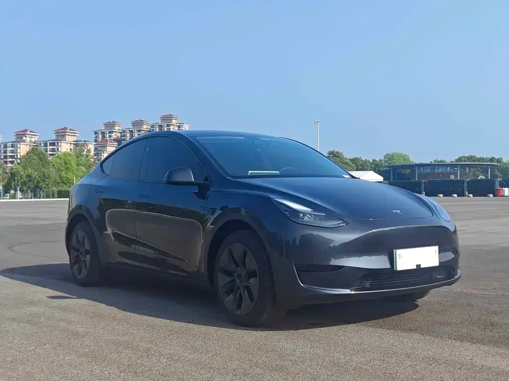 Tesla Model Y — фото 7