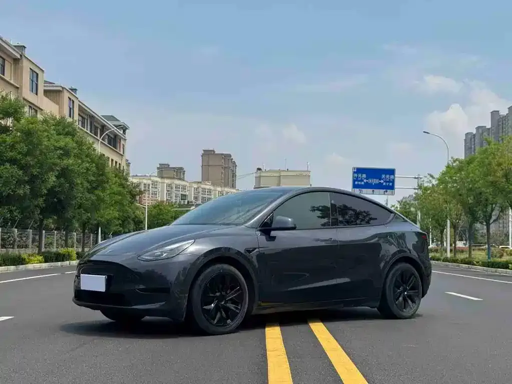 Tesla Model Y — фото 1