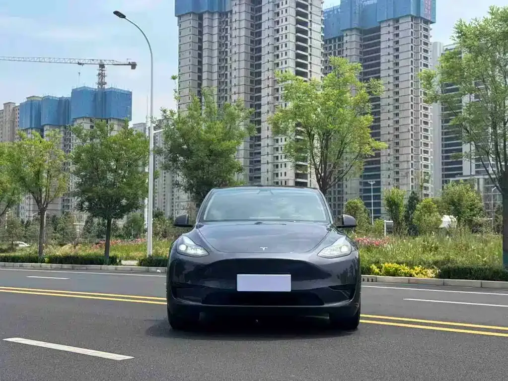 Tesla Model Y — фото 7