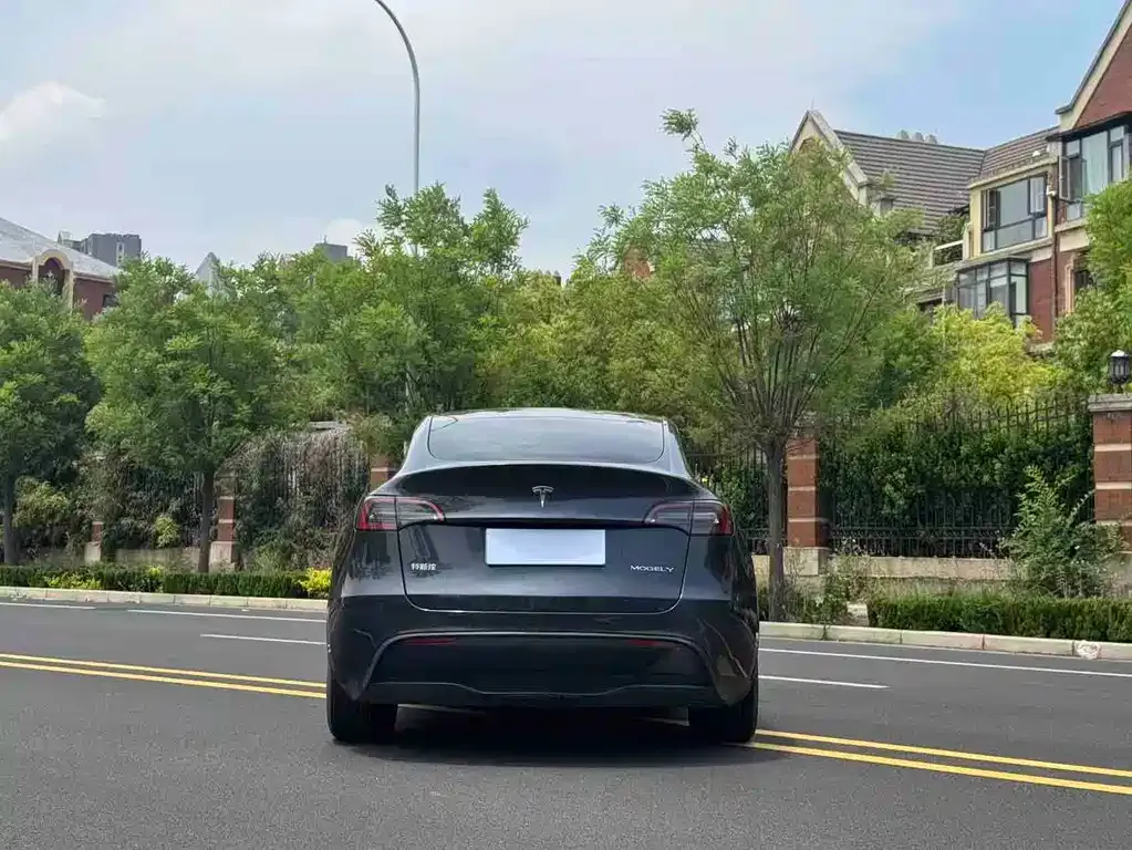 Tesla Model Y — фото 3