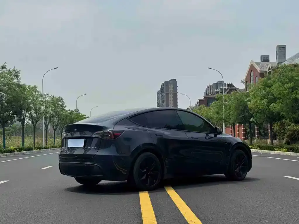 Tesla Model Y — фото 4