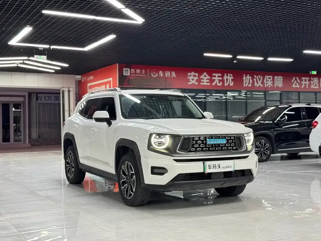 Haval H7 (Big Dog Plus) New Energy — фото 10