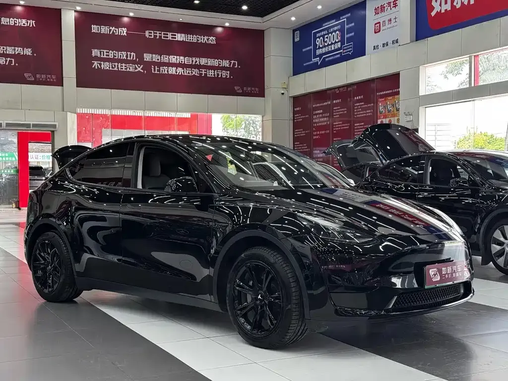 Tesla Model Y — фото 9