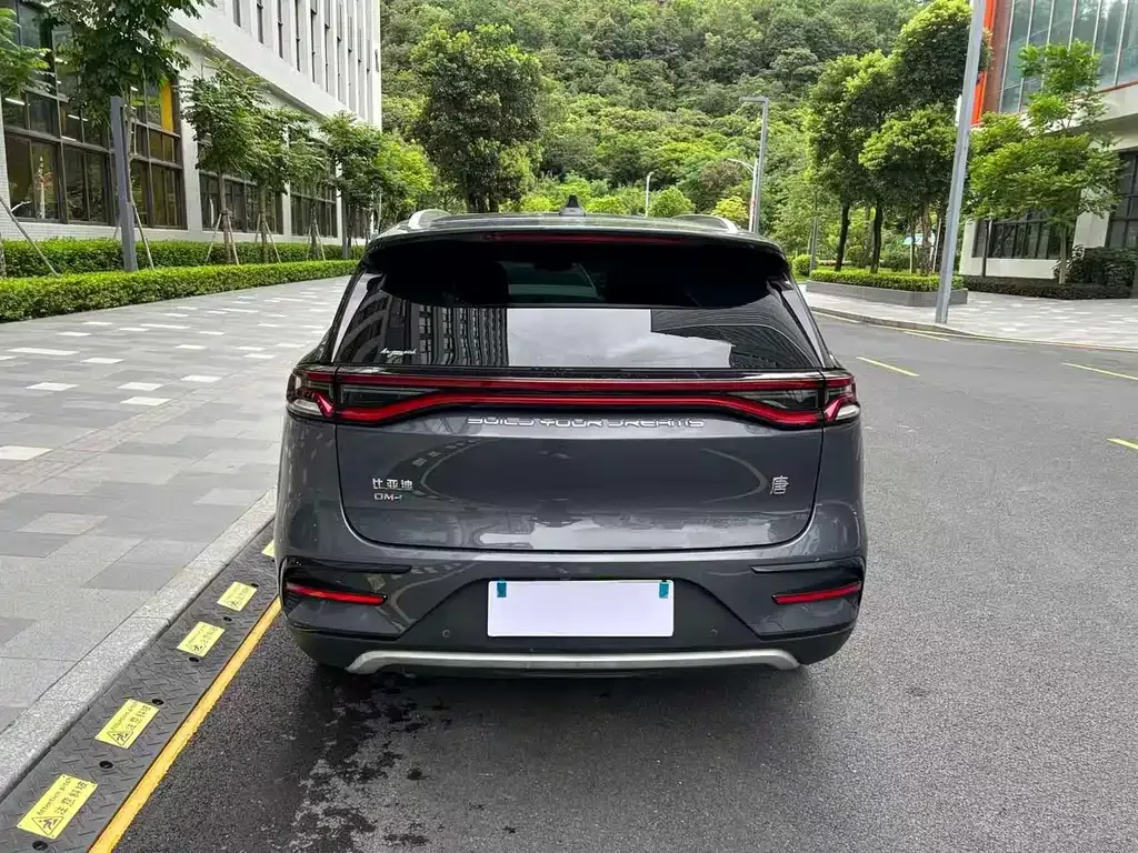 BYD Tang New Energy — фото 10