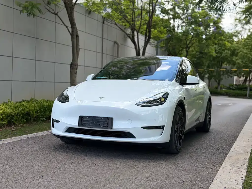 Tesla Model Y — фото 1
