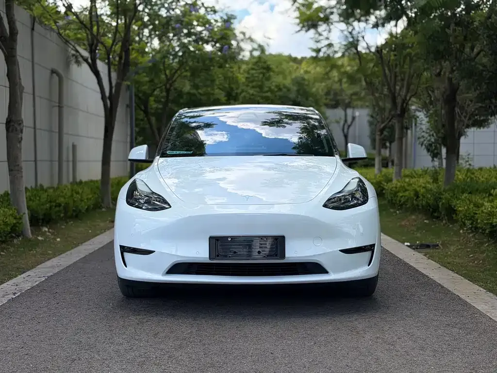Tesla Model Y — фото 8