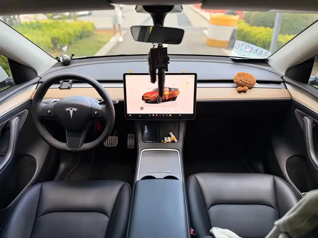 Tesla Model Y — фото 10