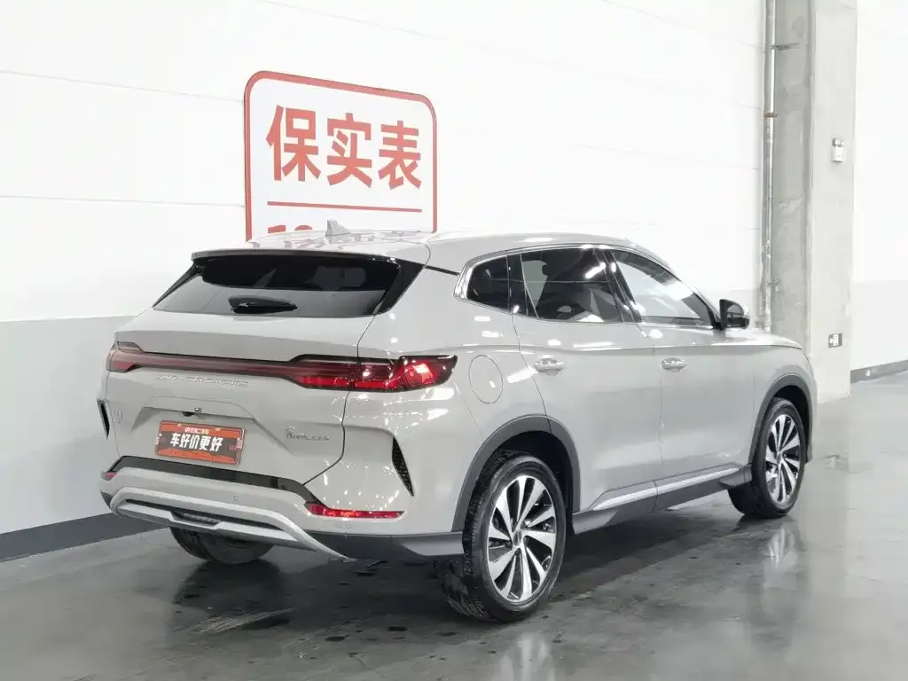 BYD PLUS New Energy — фото 9