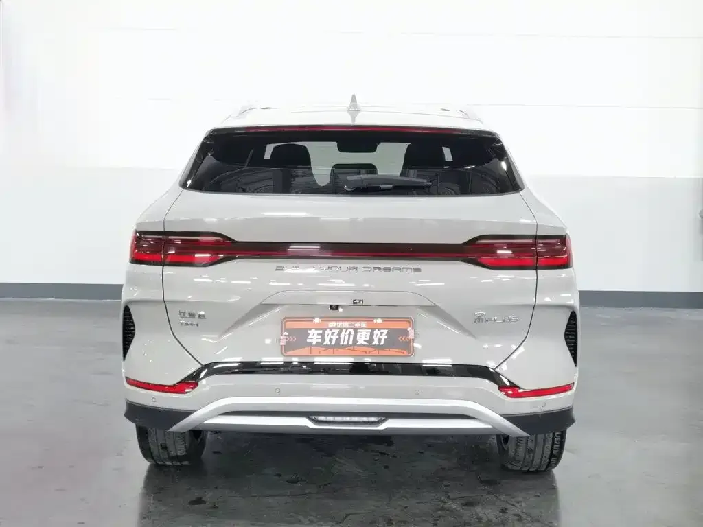 BYD PLUS New Energy — фото 3