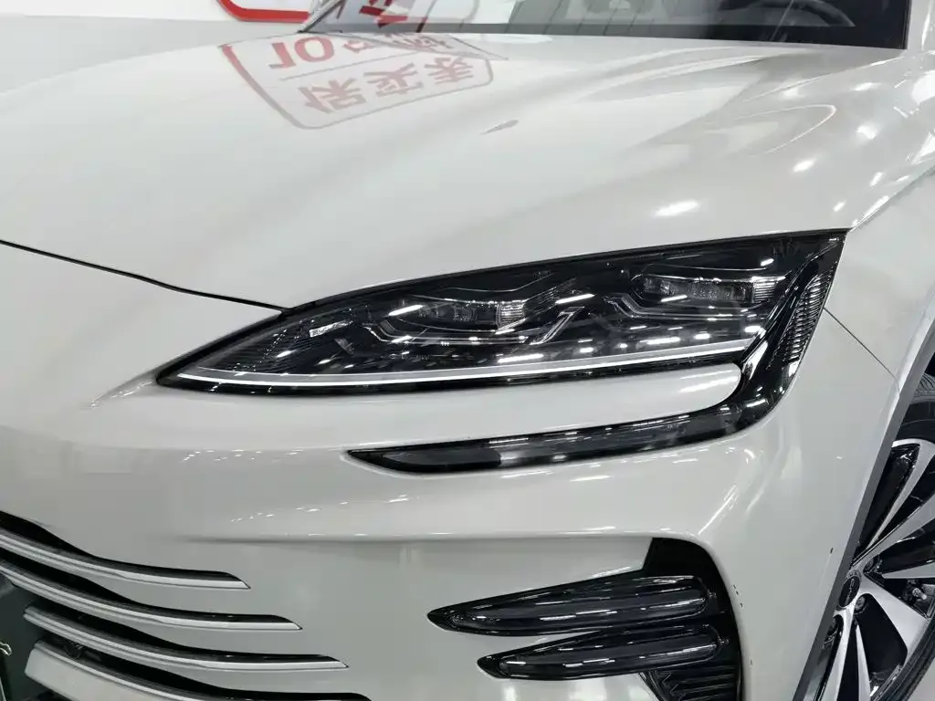 BYD PLUS New Energy — фото 4