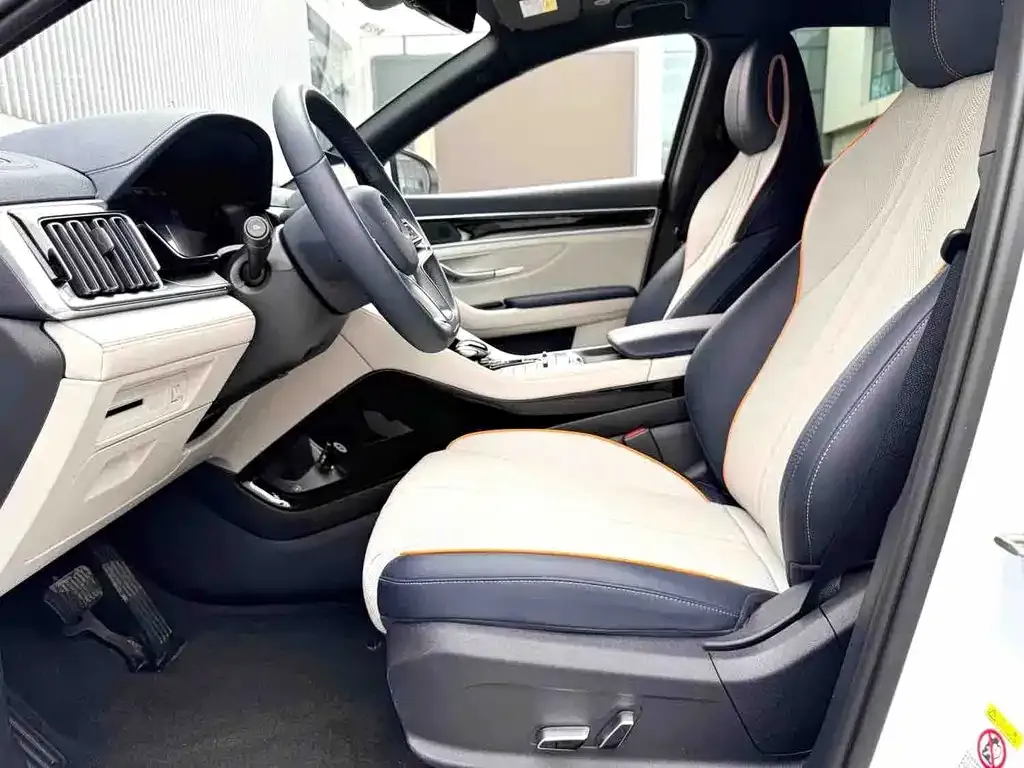 BYD PLUS New Energy — фото 4