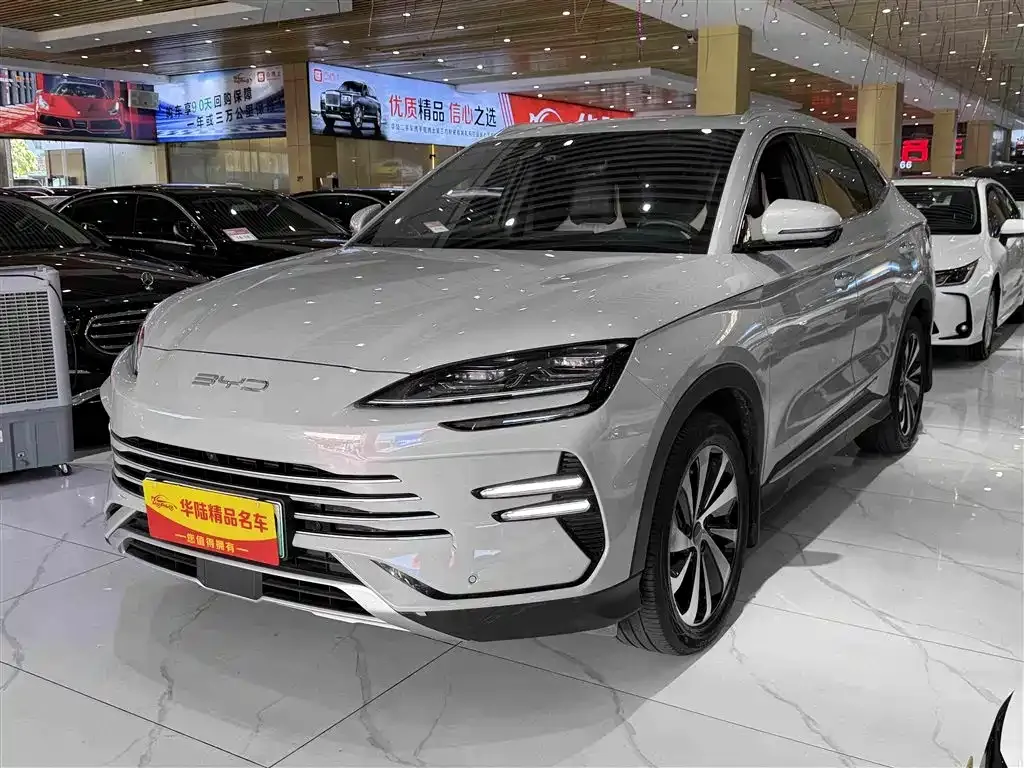 BYD PLUS New Energy — фото 1
