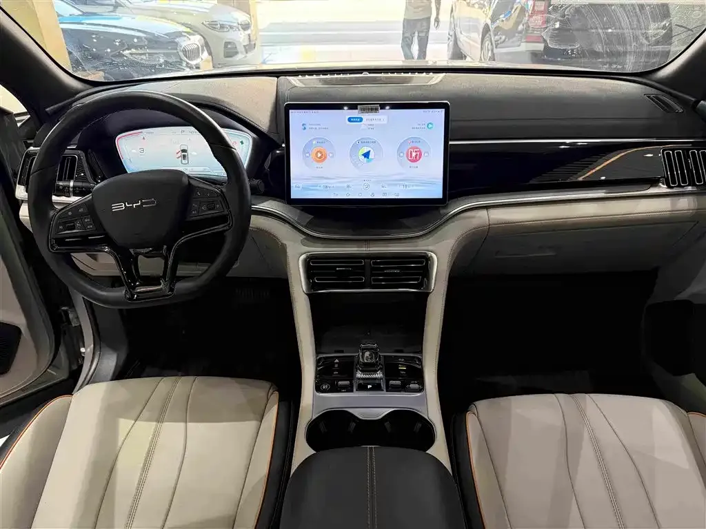 BYD PLUS New Energy — фото 6