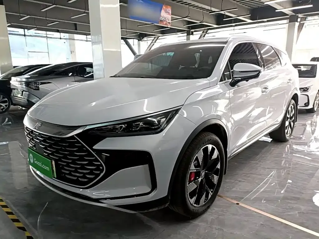 BYD Tang New Energy — фото 6