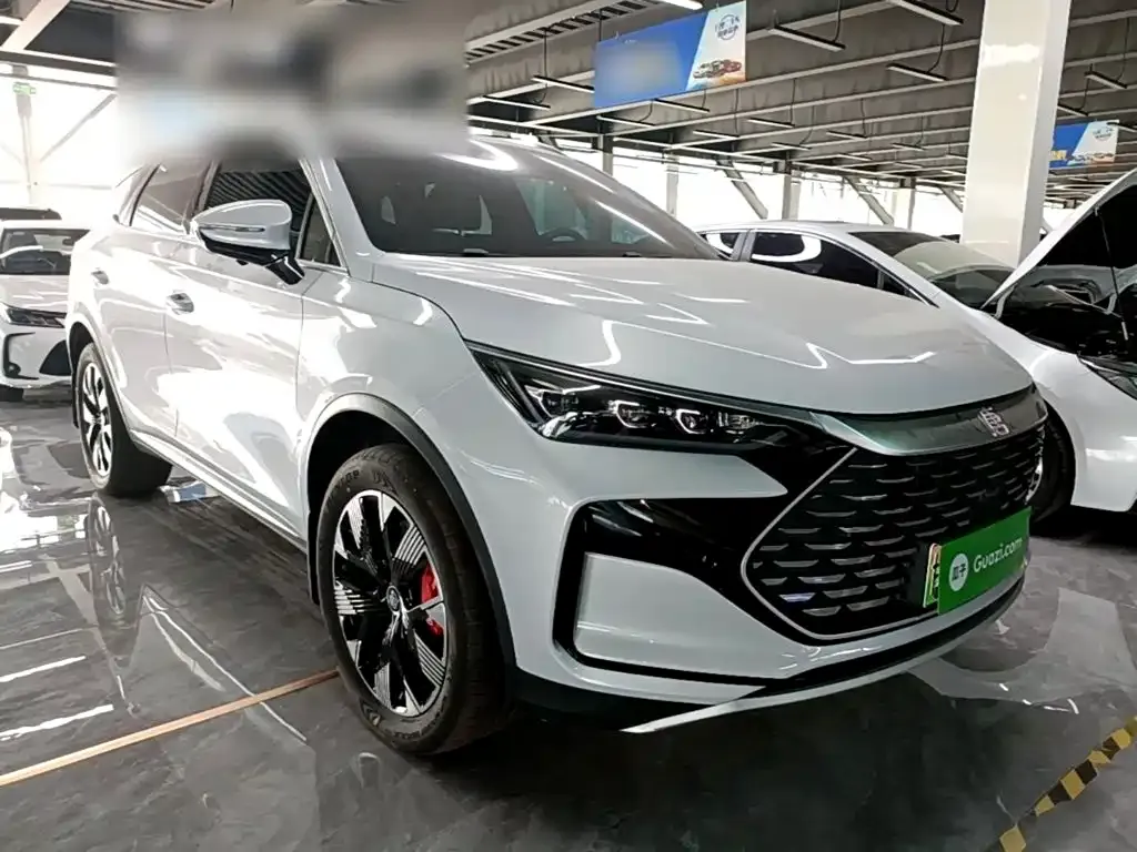 BYD Tang New Energy — фото 10