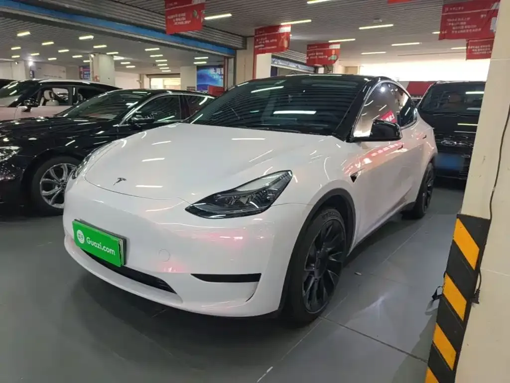 Tesla Model Y — фото 9