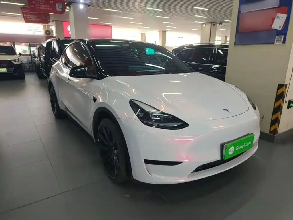 Tesla Model Y — фото 6