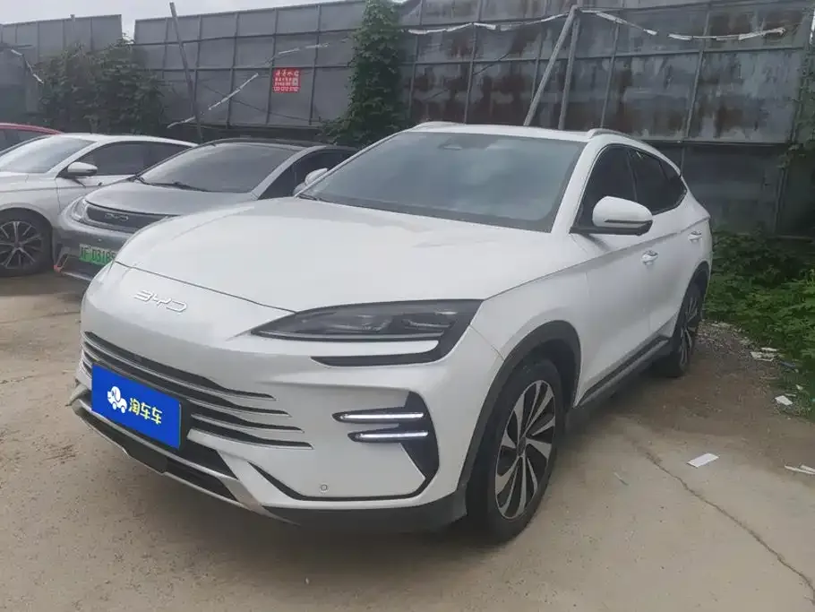 BYD PLUS New Energy — фото 1