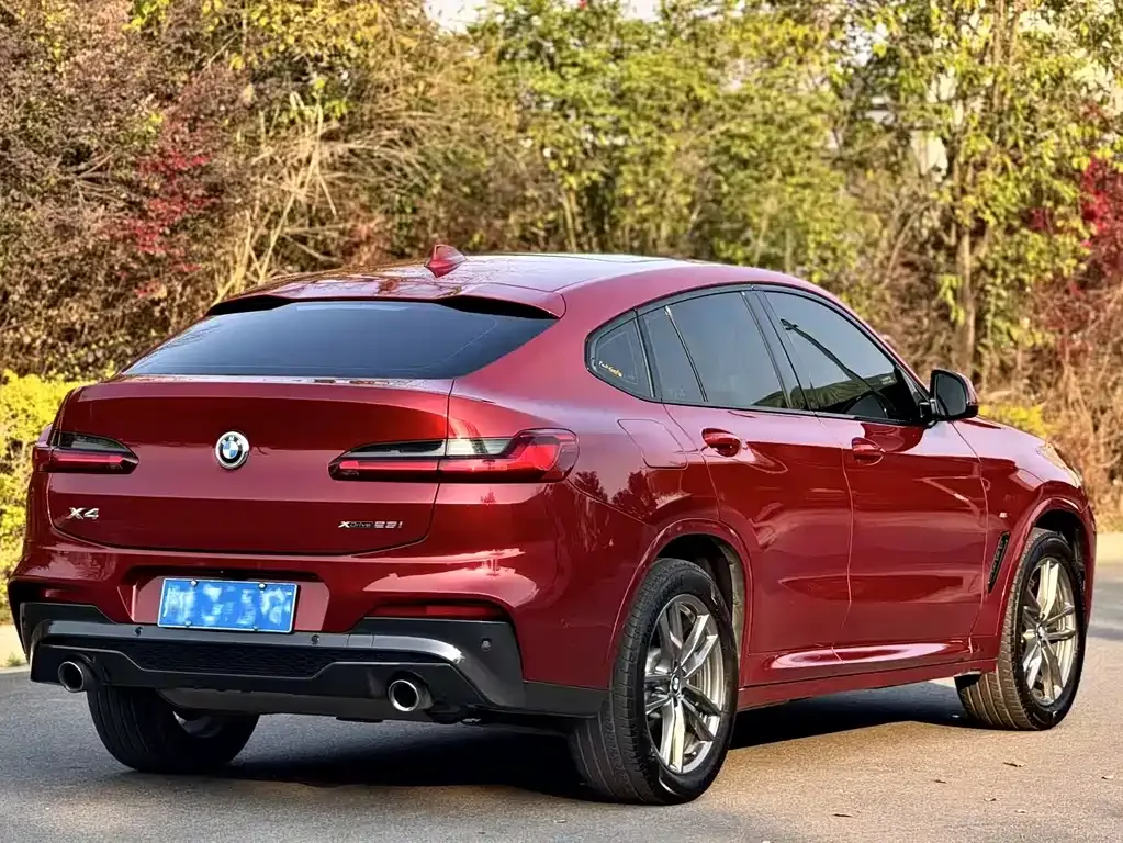 BMW X4 — фото 8